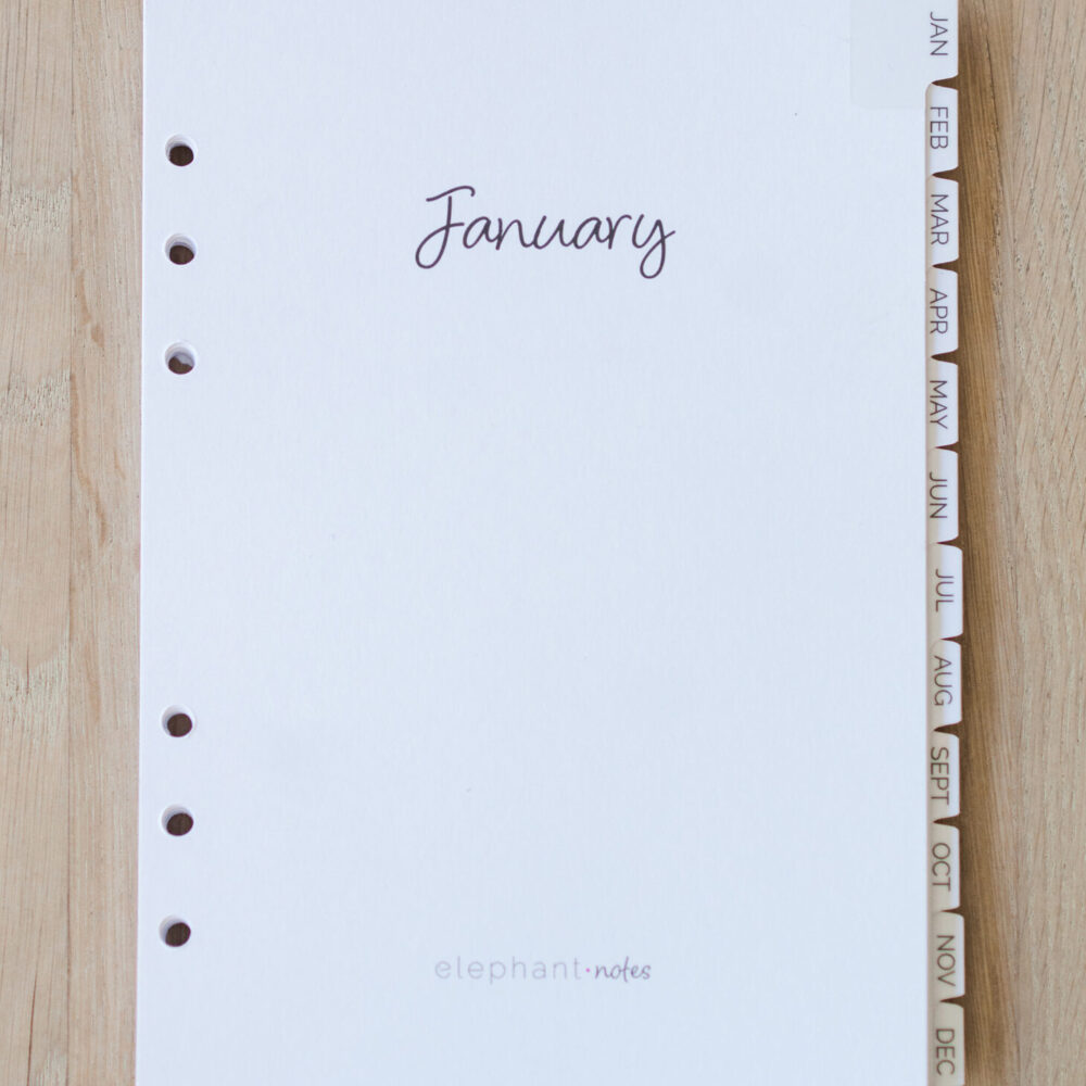 Monthly Divider Inserts